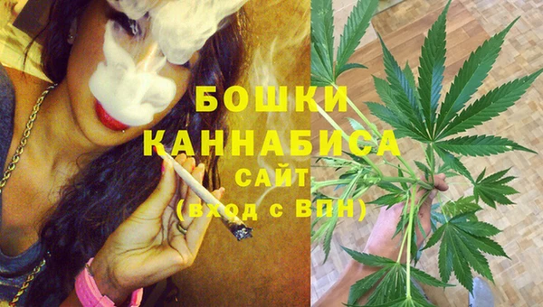 spice Аркадак
