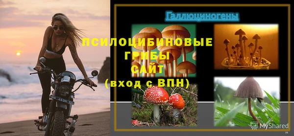 spice Аркадак