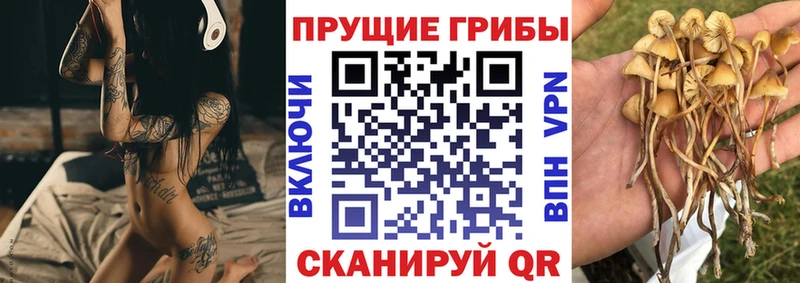 Псилоцибиновые грибы прущие грибы  продажа наркотиков  Салехард 